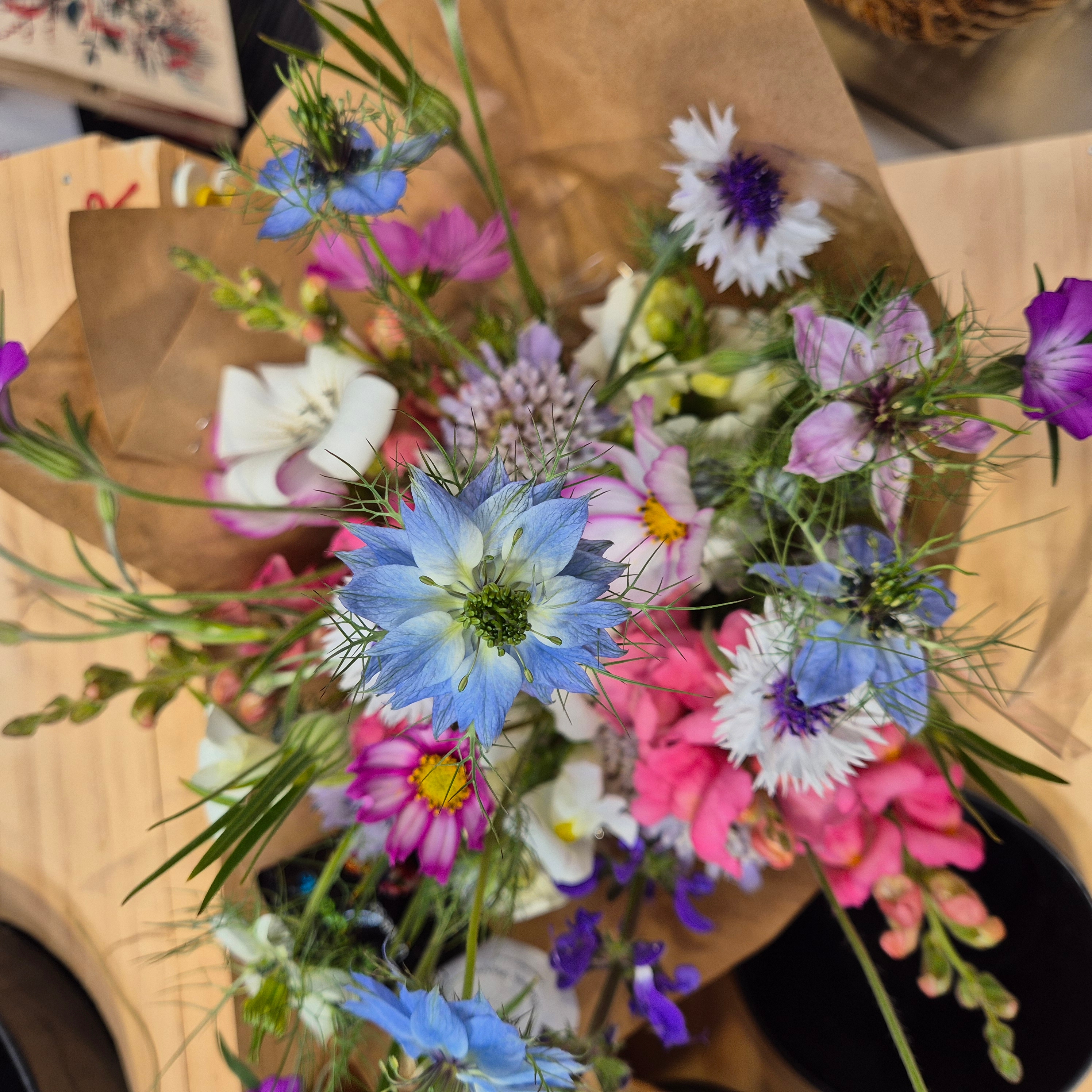 Chester Flower Farms, a family-run flower farm in the Wairarapa, New Zealand